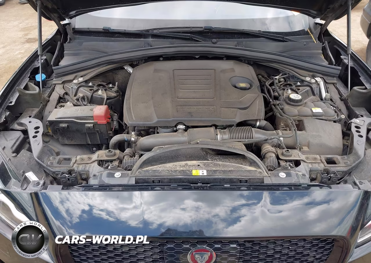 2019 Jaguar F-Pace 25T R-Sport-30T R-Sport VIN:SADCL2GX5KA358554 - 10