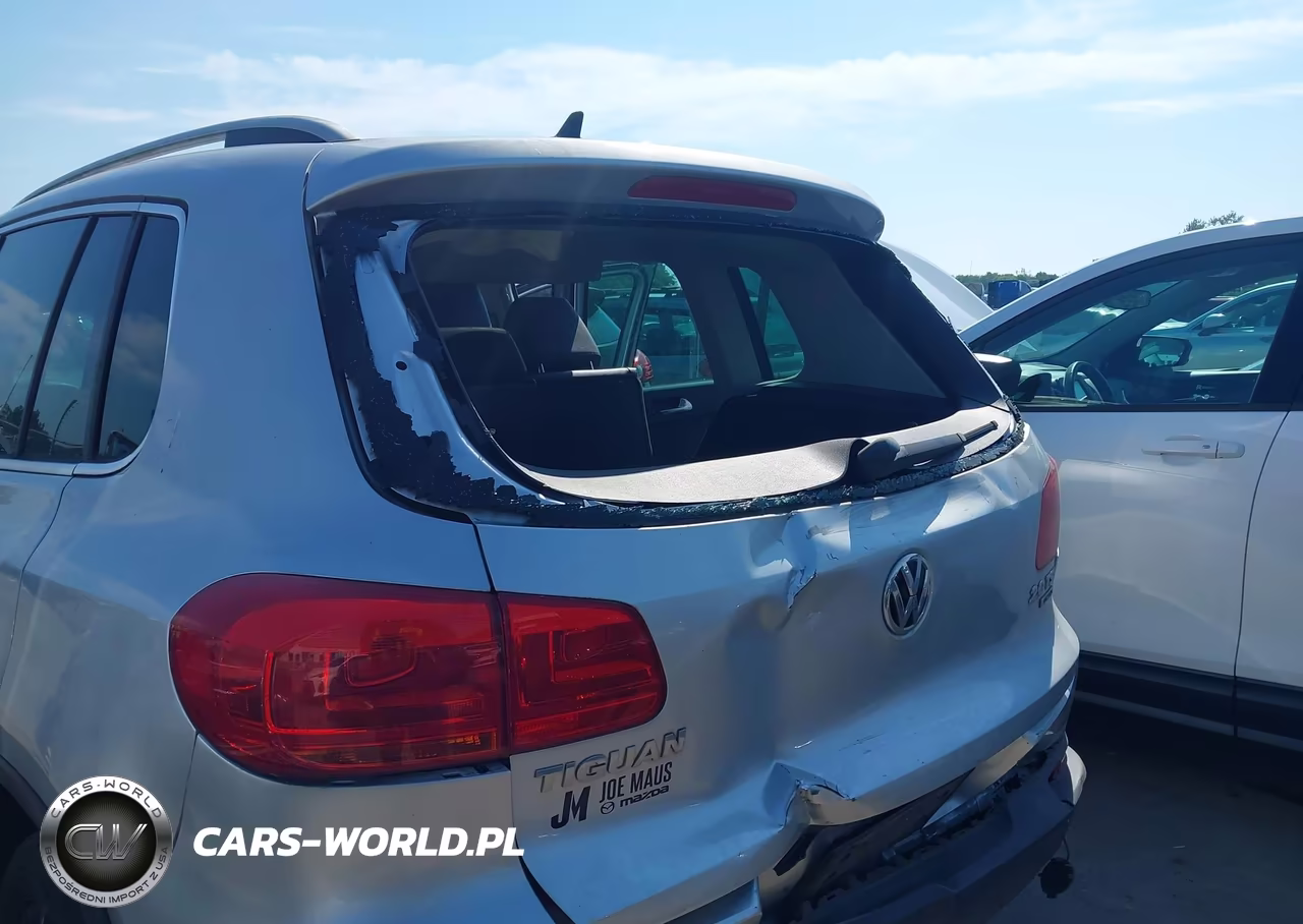 2014 Volkswagen Tiguan Sel VIN:WVGBV3AX0EW540858 - 17