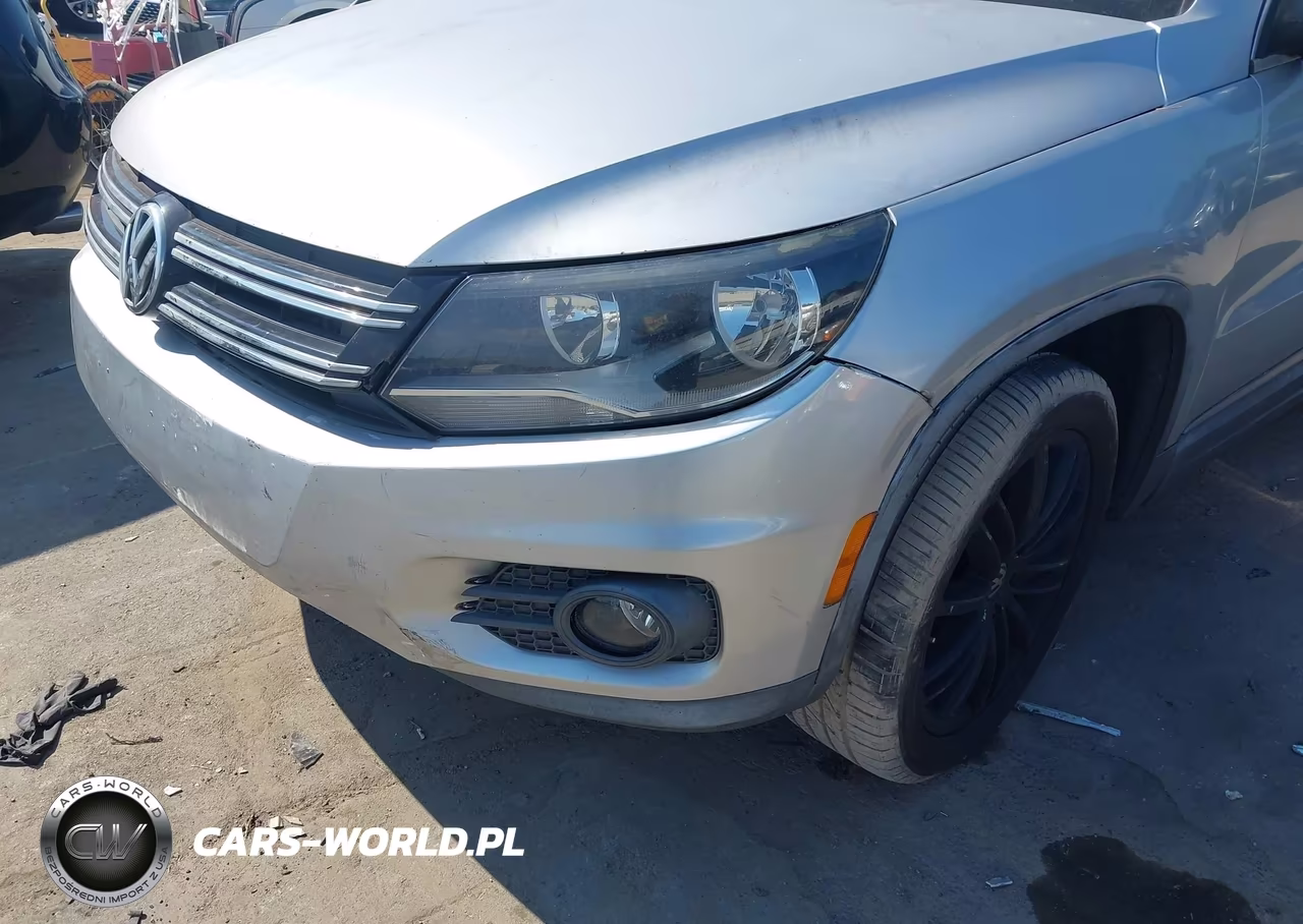 2014 Volkswagen Tiguan Sel VIN:WVGBV3AX0EW540858 - 18