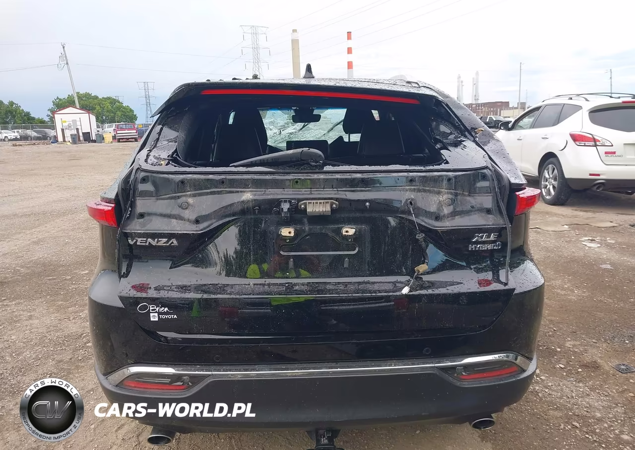 2021 Toyota Venza Xle VIN:JTEAAAAH1MJ045942 - 16