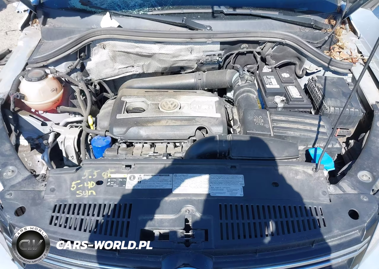 2017 Volkswagen Tiguan 2.0T-2.0T S VIN:WVGBV7AX3HK047338 - 10