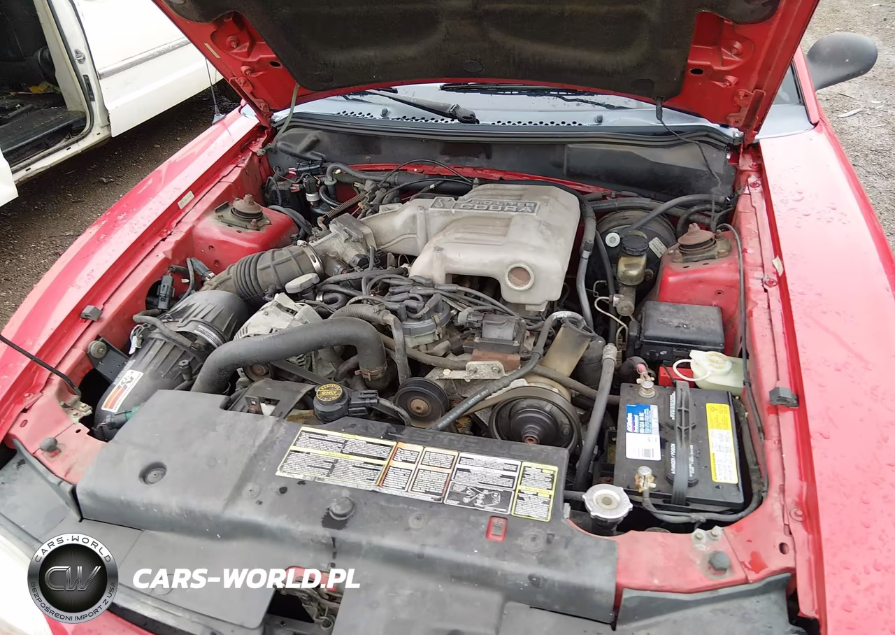 1995 Ford Mustang Cobra Svt VIN:1FALP42D4SF194697 - 10