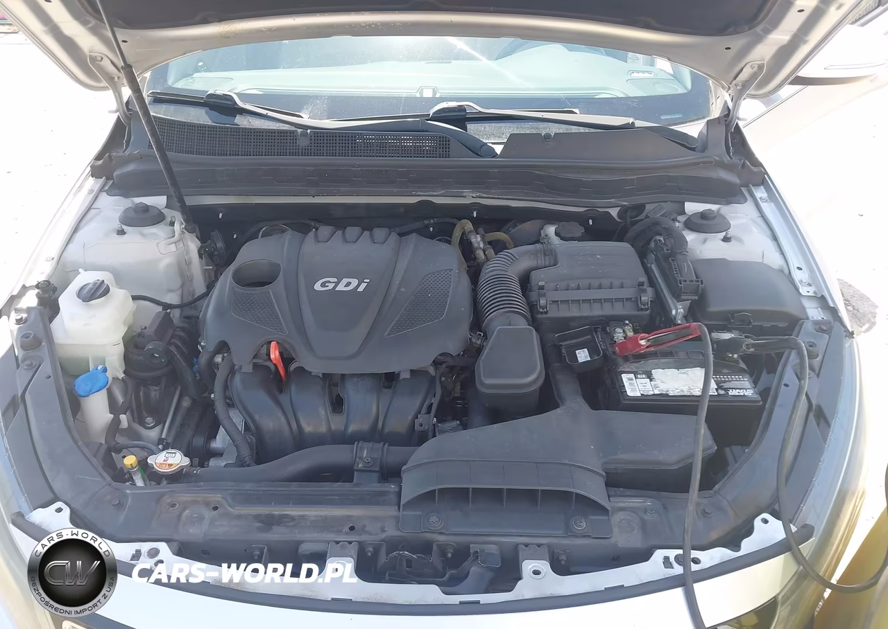 2014 Kia Optima Ex VIN:5XXGN4A71EG319383 - 10