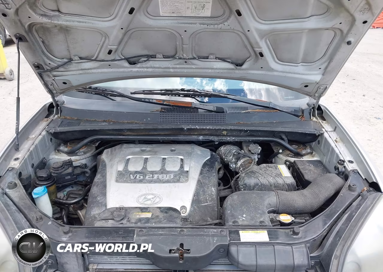 2005 Hyundai Tucson Gls-Lx VIN:KM8JN72D45U065816 - 10