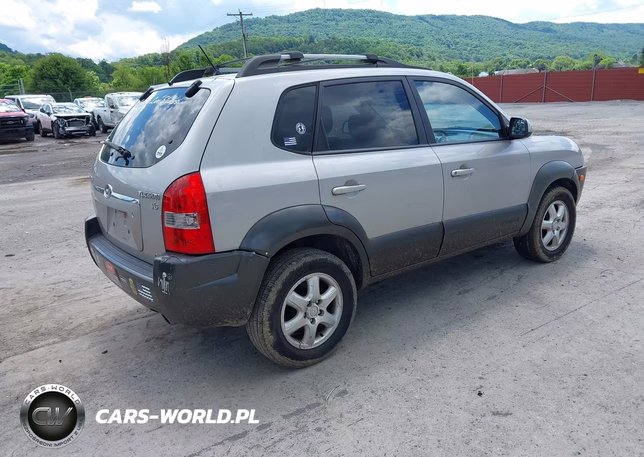 2005 Hyundai Tucson Gls-Lx VIN:KM8JN72D45U065816 - 4