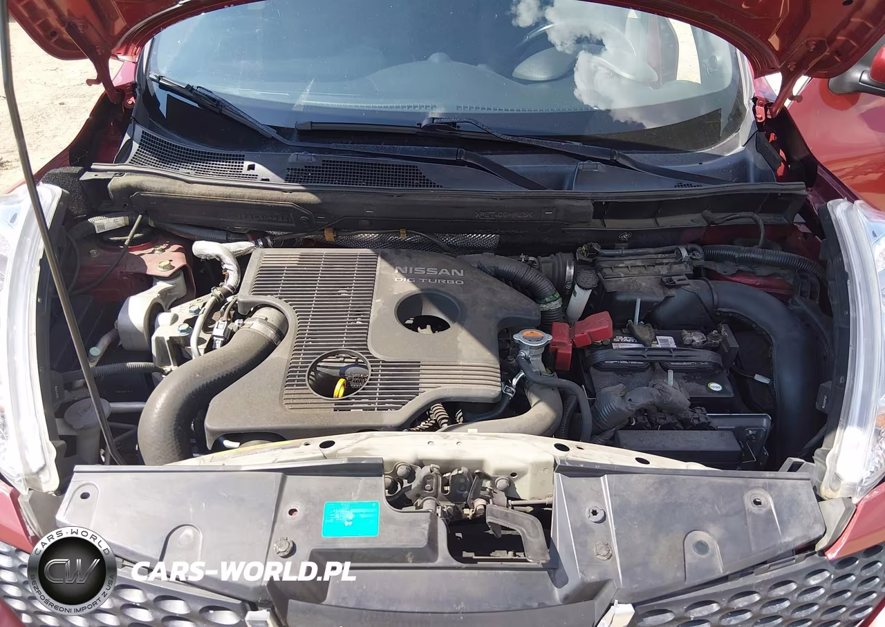 2013 Nissan Juke Sv VIN:JN8AF5MR5DT223748 - 10