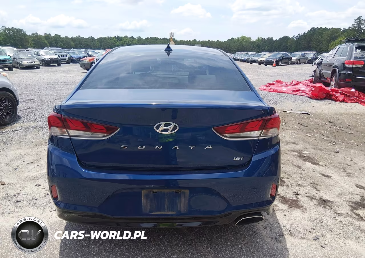 2018 Hyundai Sonata Eco VIN:5NPE24AA9JH700652 - 17