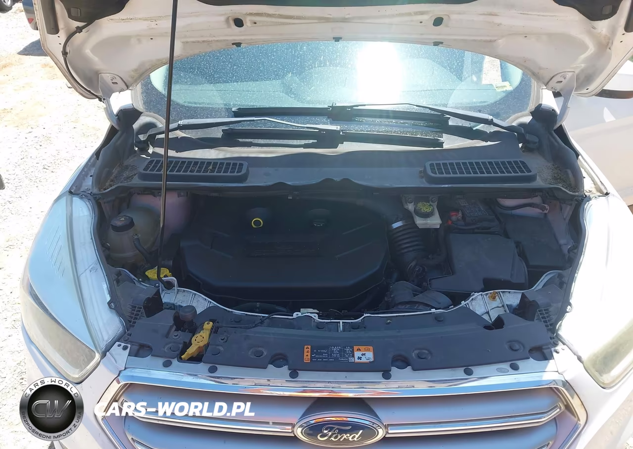 2017 Ford Escape Se VIN:1FMCU0G98HUD66956 - 10