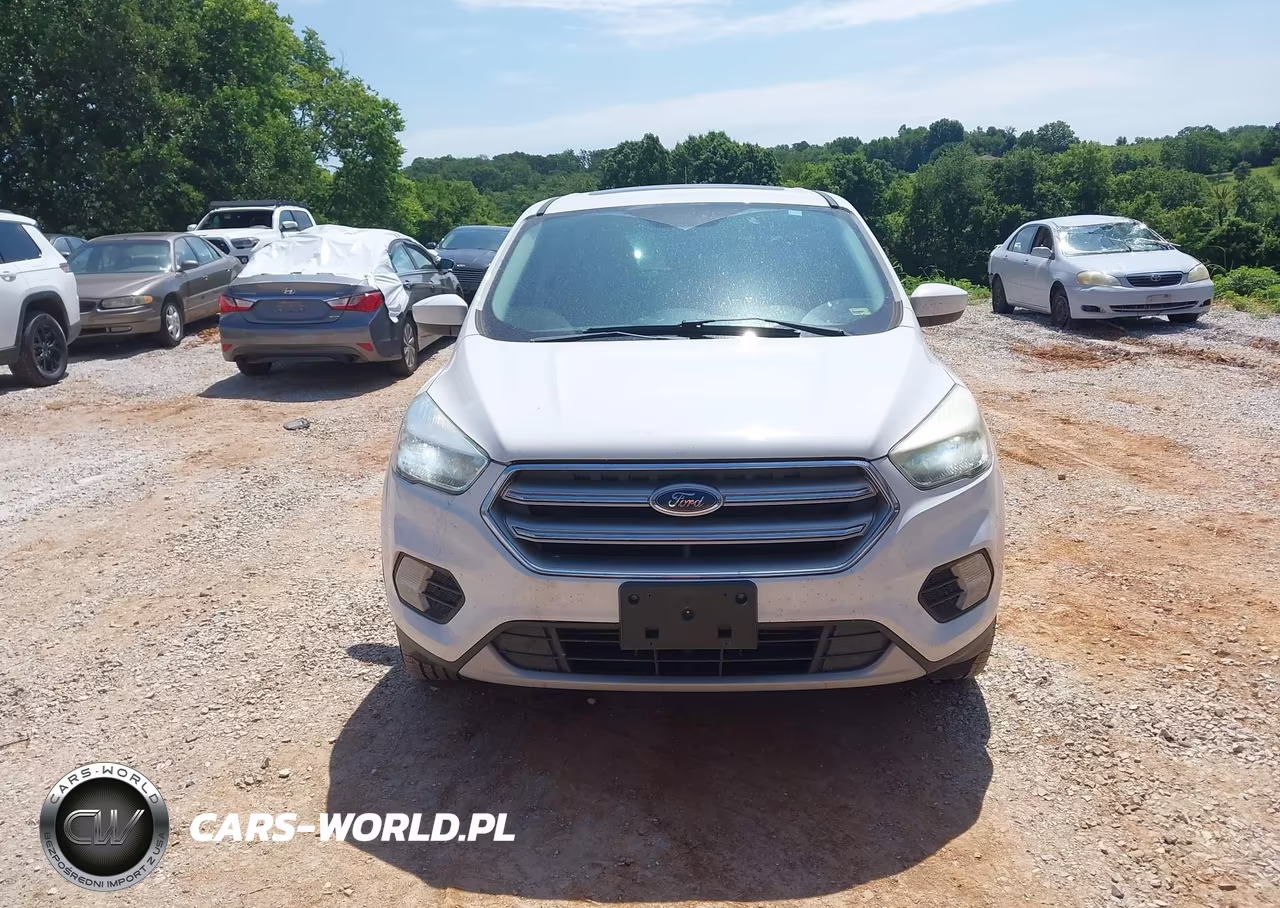 2017 Ford Escape Se VIN:1FMCU0G98HUD66956 - 12