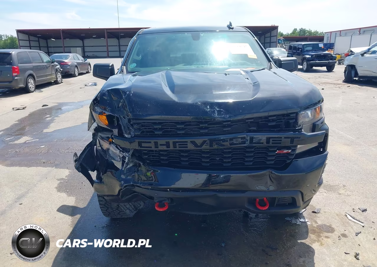 2019 Chevrolet Silverado 1500 Custom Trail Boss VIN:1GCRYCEF2KZ176299 - 12