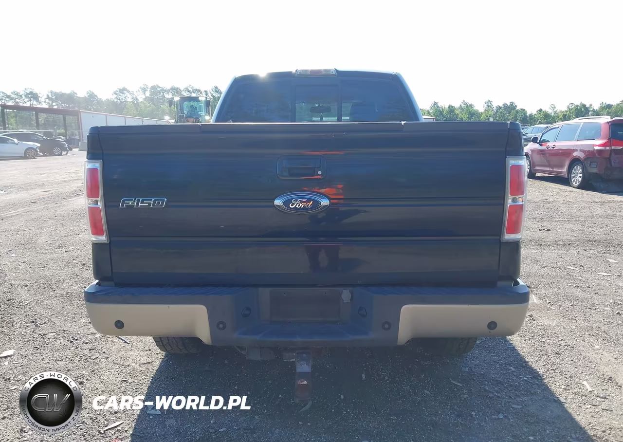 2009 Ford F-150 Fx4-King Ranch-Lariat-Platinum-Xl-Xlt VIN:1FTPW14V09FA64011 - 16
