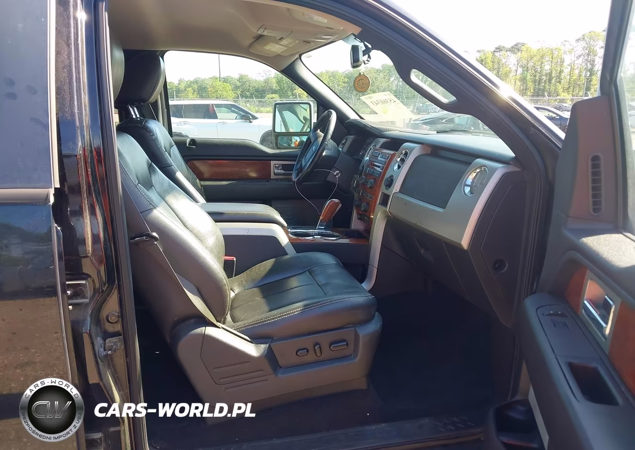 2009 Ford F-150 Fx4-King Ranch-Lariat-Platinum-Xl-Xlt VIN:1FTPW14V09FA64011 - 5