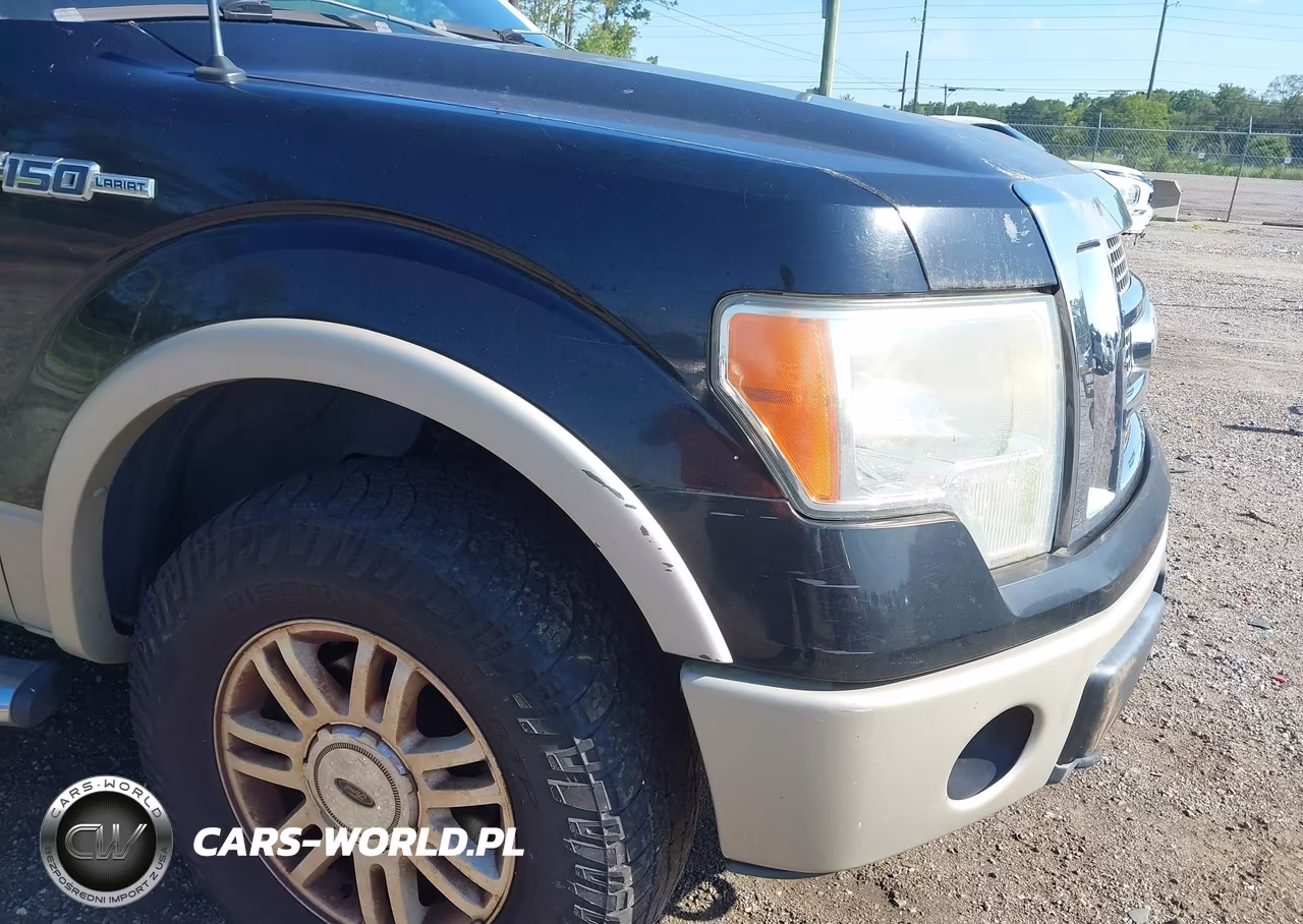 2009 Ford F-150 Fx4-King Ranch-Lariat-Platinum-Xl-Xlt VIN:1FTPW14V09FA64011 - 6