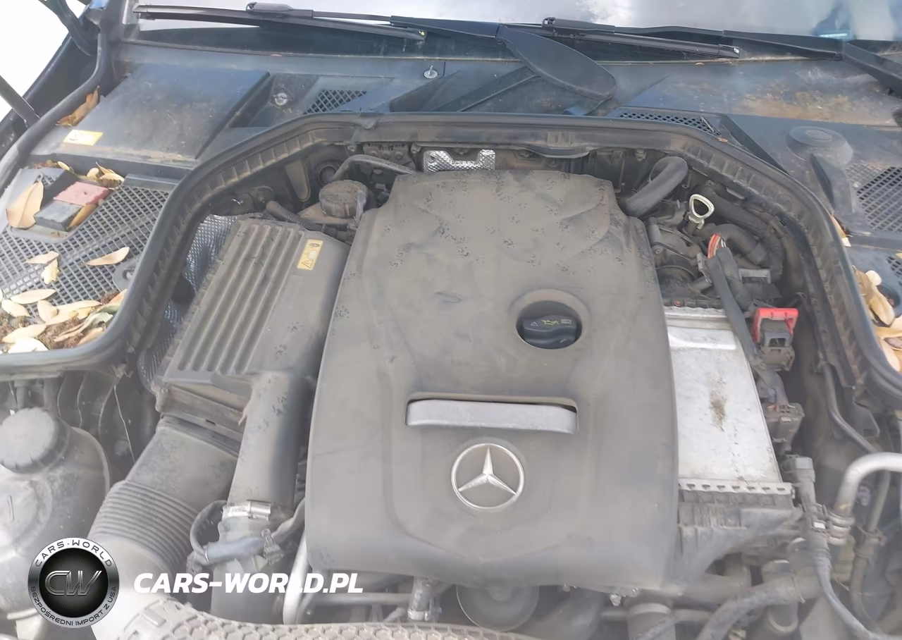 2015 Mercedes-Benz C 300 4Matic VIN:55SWF4KB2FU009807 - 10