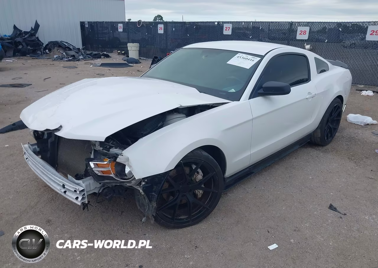 2012 Ford Mustang V6 VIN:1ZVBP8AMXC5252699 - 2