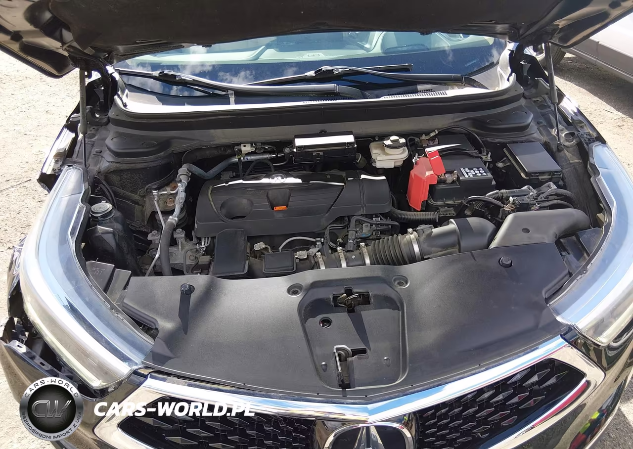 2019 Acura Rdx Advance Package VIN:5J8TC2H78KL005015 - 10