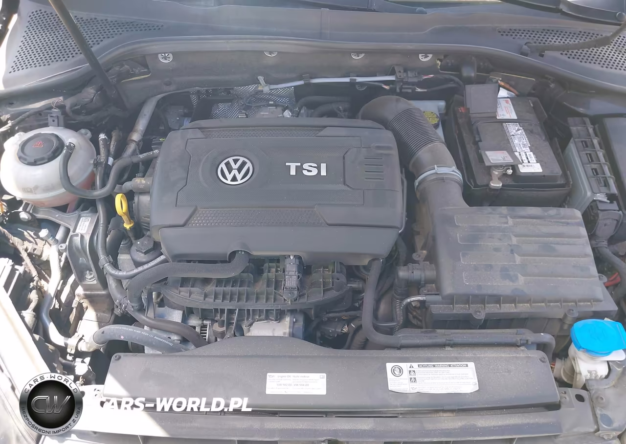 2018 Volkswagen Golf Tsi S-Tsi Se VIN:3VWG17AU1JM266919 - 10