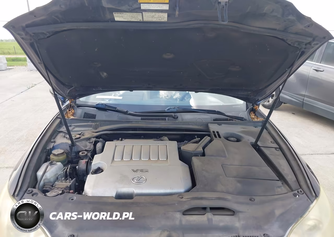 2009 Lexus Es 350 VIN:JTHBJ46G792288925 - 10