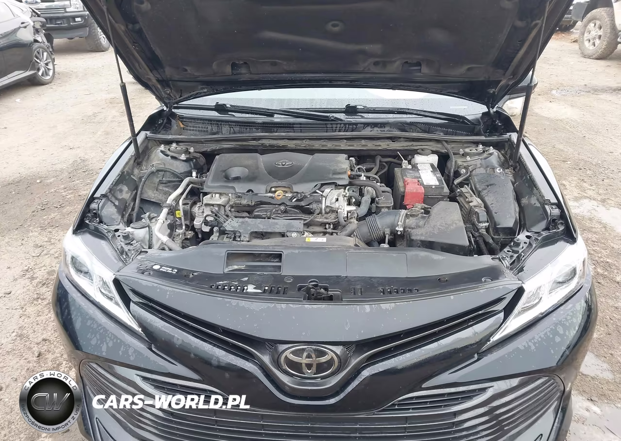 2020 Toyota Camry Le VIN:4T1C11AK0LU508347 - 10