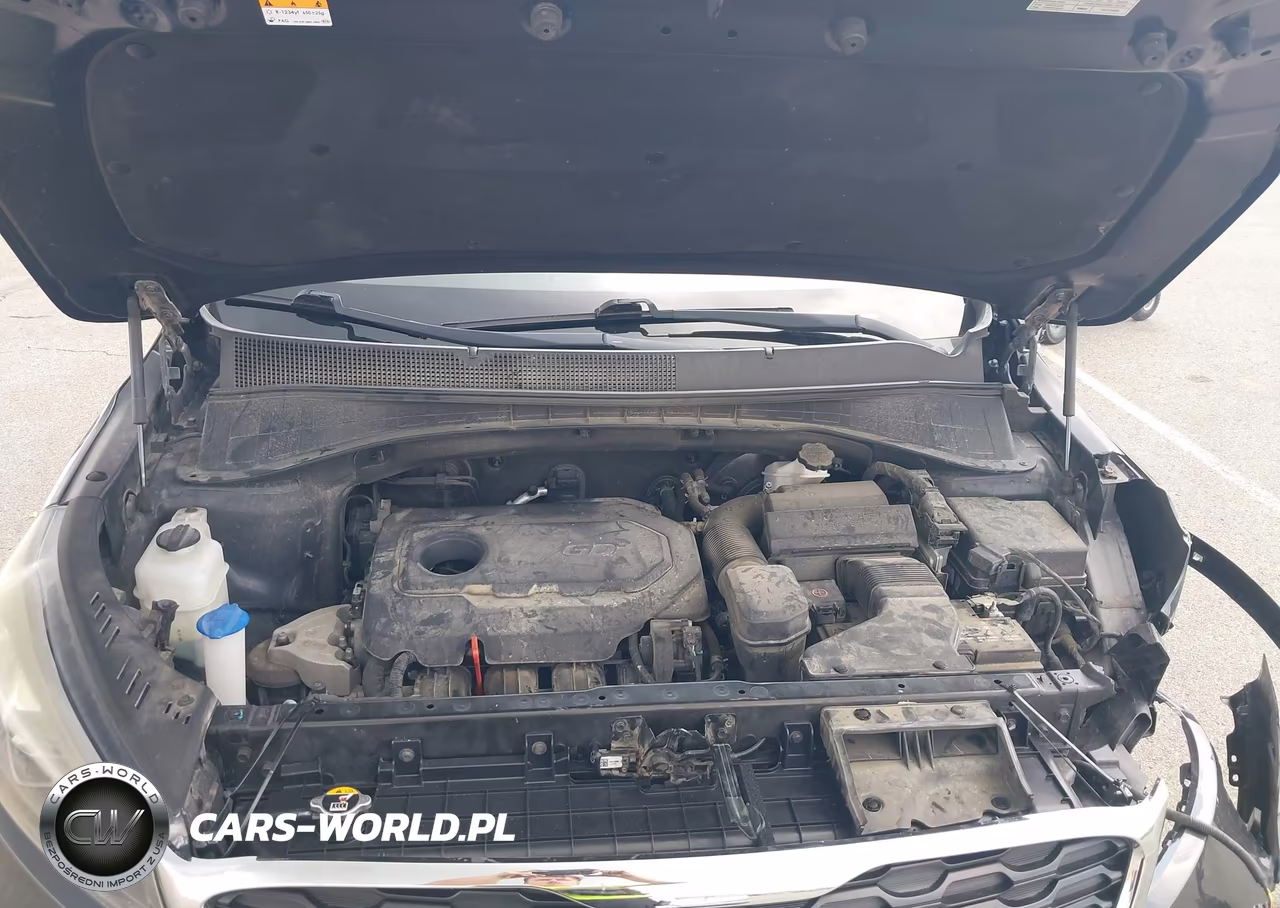 2019 Kia Sorento 2.4L Lx VIN:5XYPG4A3XKG441819 - 10