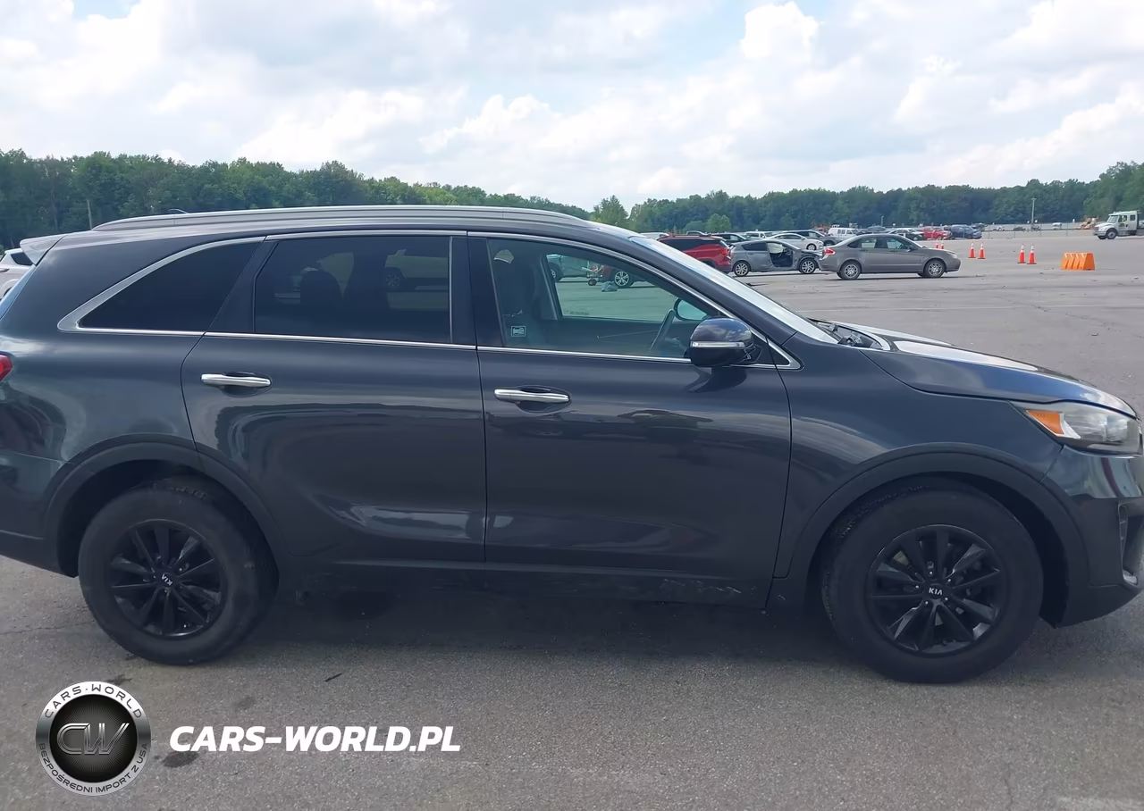 2019 Kia Sorento 2.4L Lx VIN:5XYPG4A3XKG441819 - 14
