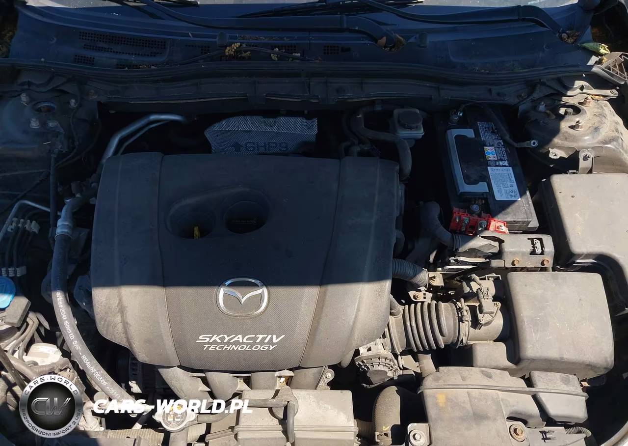 2015 Mazda Mazda3 I Sport VIN:JM1BM1U70F1221322 - 10