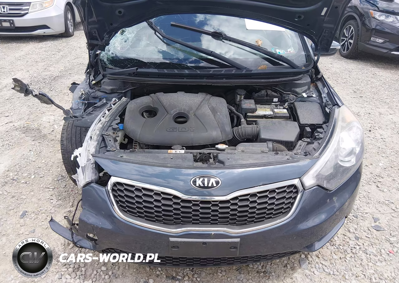 2016 Kia Forte Ex VIN:KNAFX4A83G5490624 - 10