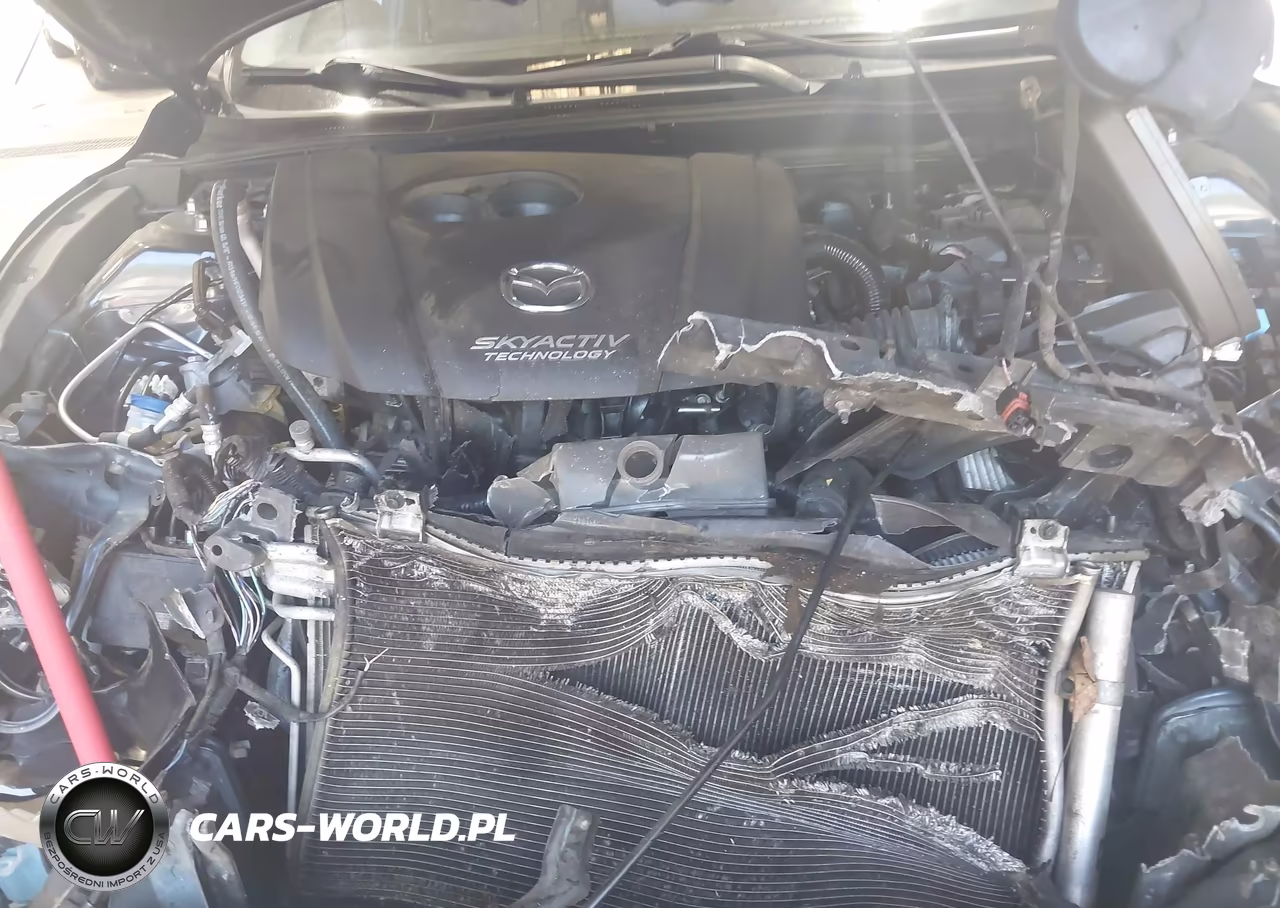 2016 Mazda Mazda3 I Sport VIN:JM1BM1U76G1324617 - 10