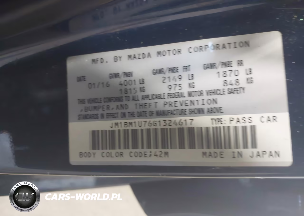 2016 Mazda Mazda3 I Sport VIN:JM1BM1U76G1324617 - 9