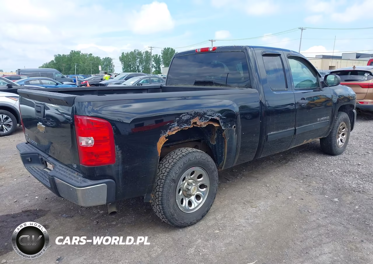 2010 Chevrolet Silverado 1500 Ls VIN:1GCSCREA1AZ110218 - 4