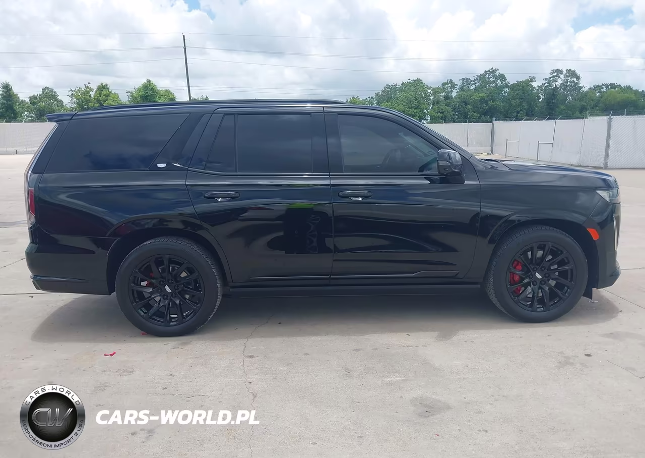 2022 Cadillac Escalade 4Wd Sport Platinum VIN:1GYS4GKL0NR223973 - 13