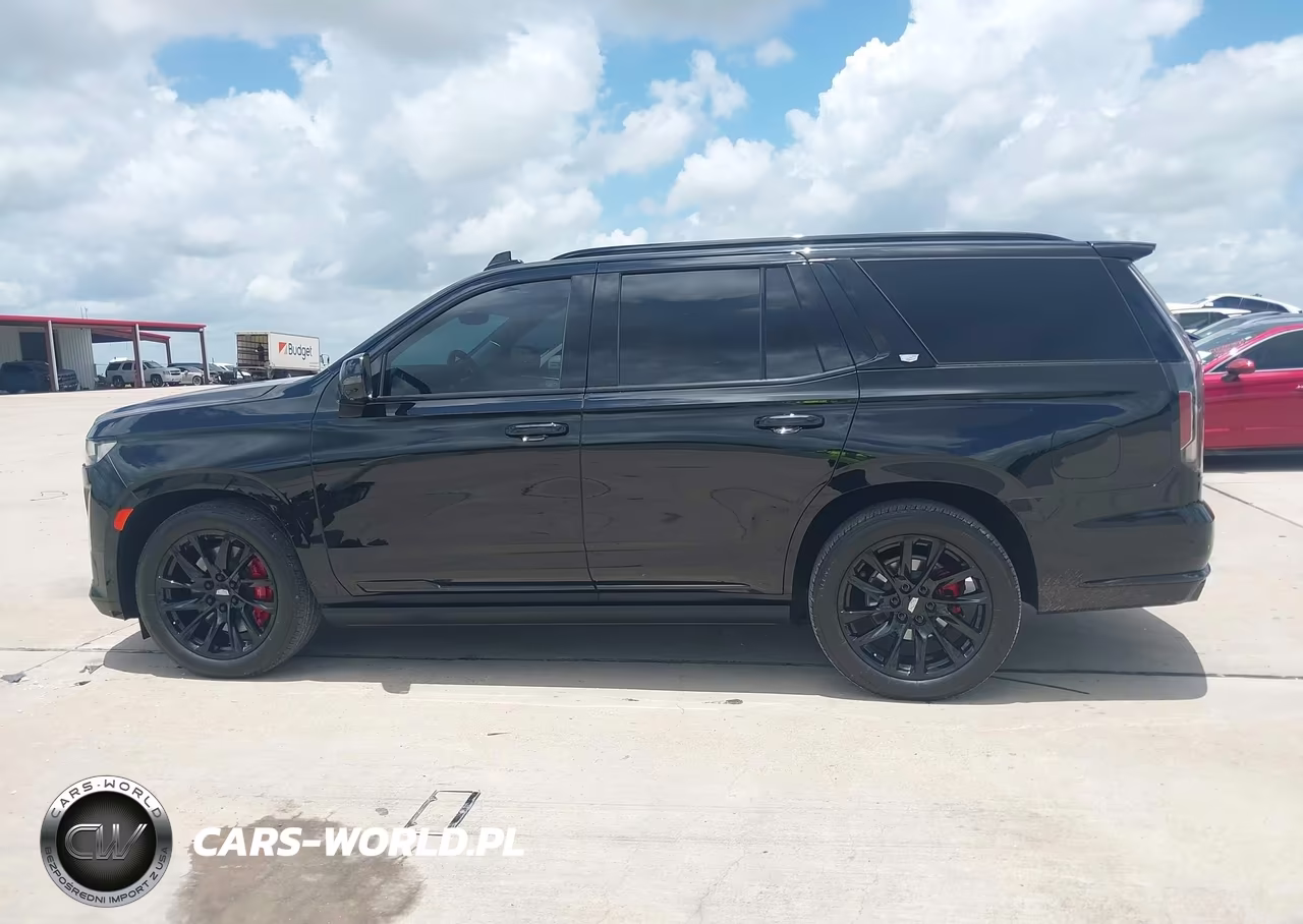 2022 Cadillac Escalade 4Wd Sport Platinum VIN:1GYS4GKL0NR223973 - 14