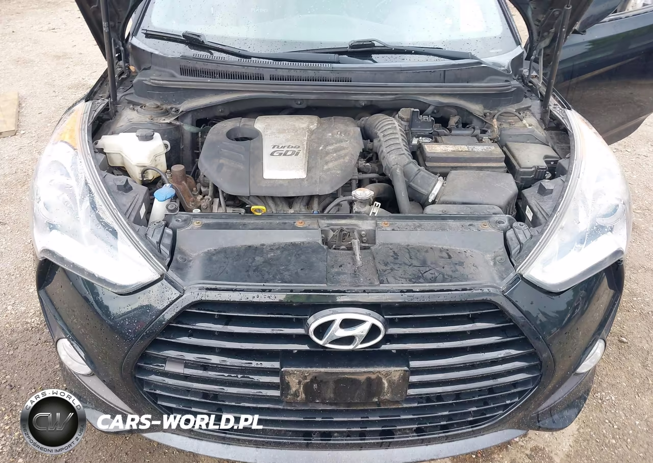2015 Hyundai Veloster Turbo VIN:KMHTC6AEXFU228831 - 10