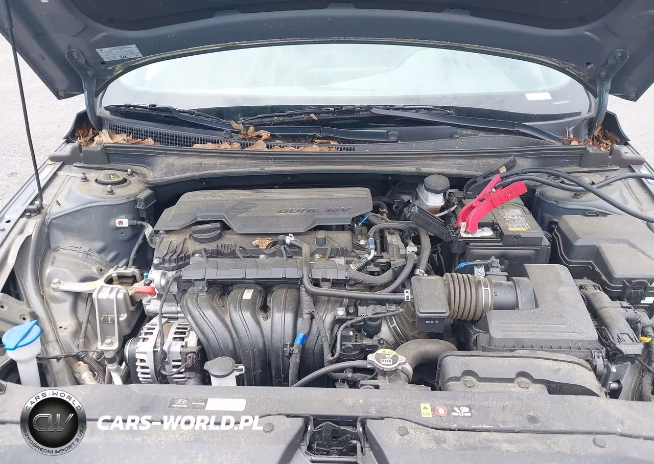 2024 Hyundai Elantra Sel VIN:KMHLS4DG2RU711710 - 10
