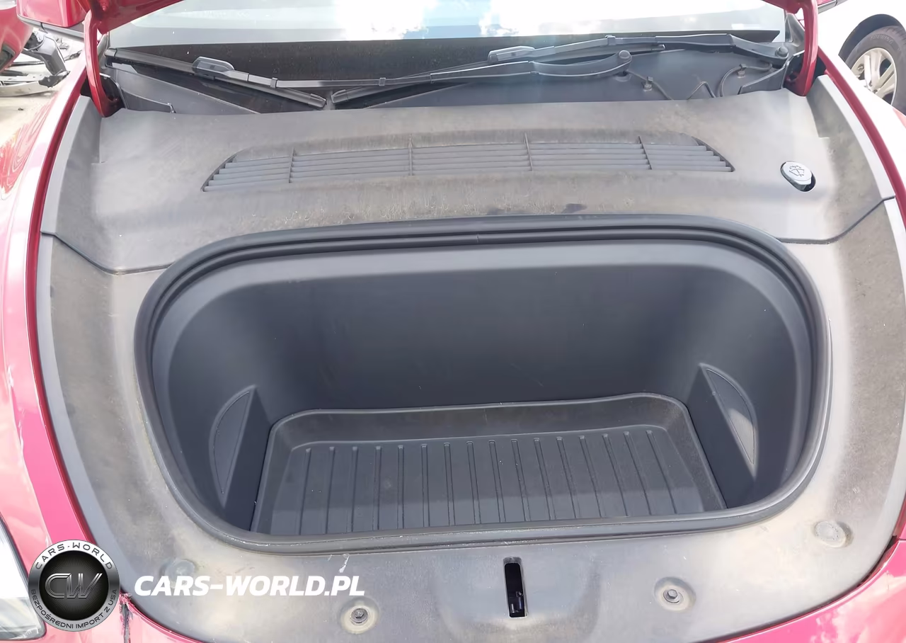 2023 Tesla Model Y Awd-Long Range Dual Motor All-Wheel Drive VIN:7SAYGDEE1PA124008 - 10