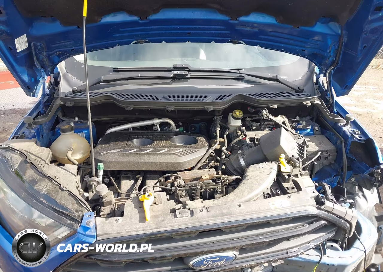 2021 Ford Ecosport Ses VIN:MAJ6S3JL6MC397559 - 10