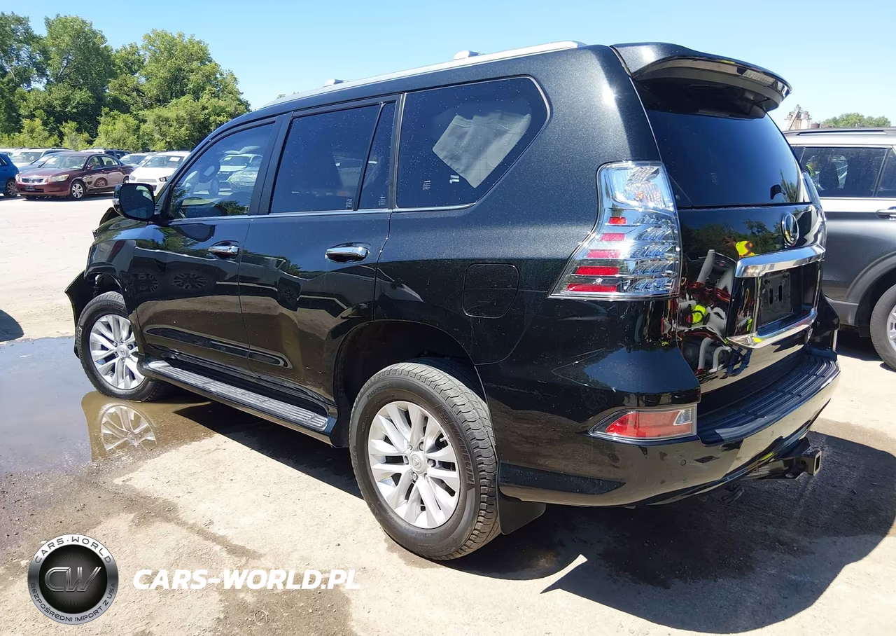 2023 Lexus 460 Premium VIN:JTJAM7BX0P5365137 - 3