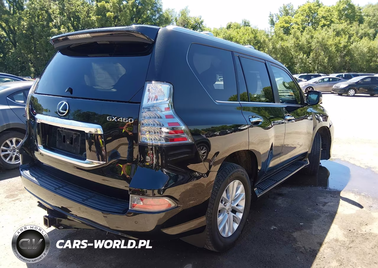 2023 Lexus 460 Premium VIN:JTJAM7BX0P5365137 - 4