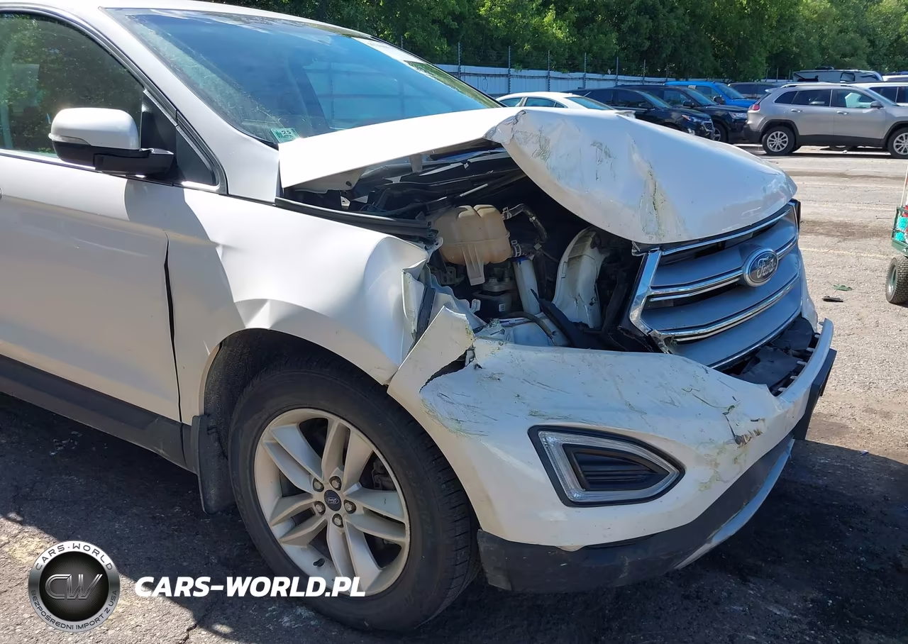 2016 Ford Edge Sel VIN:2FMPK4J92GBB99098 - 6