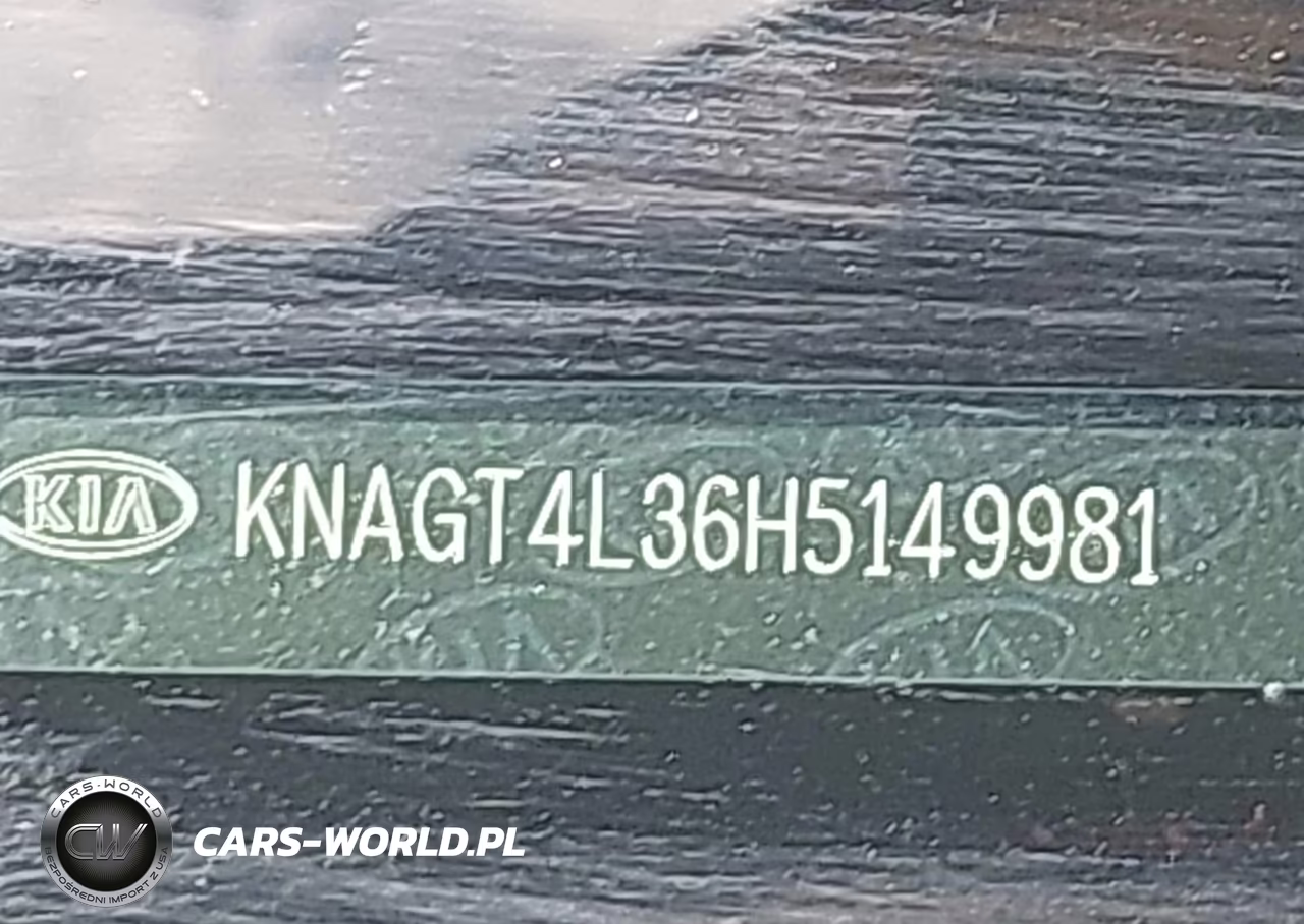 2017 Kia Optima Lx VIN:KNAGT4L36H5149981 - 17