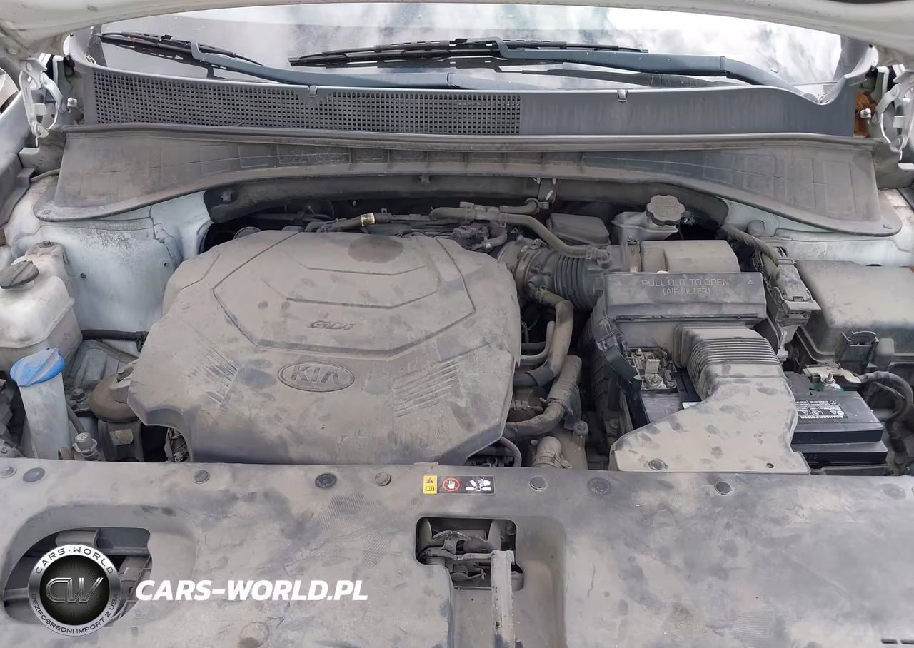 2019 Kia Sorento 3.3L Lx VIN:5XYPG4A51KG443220 - 10