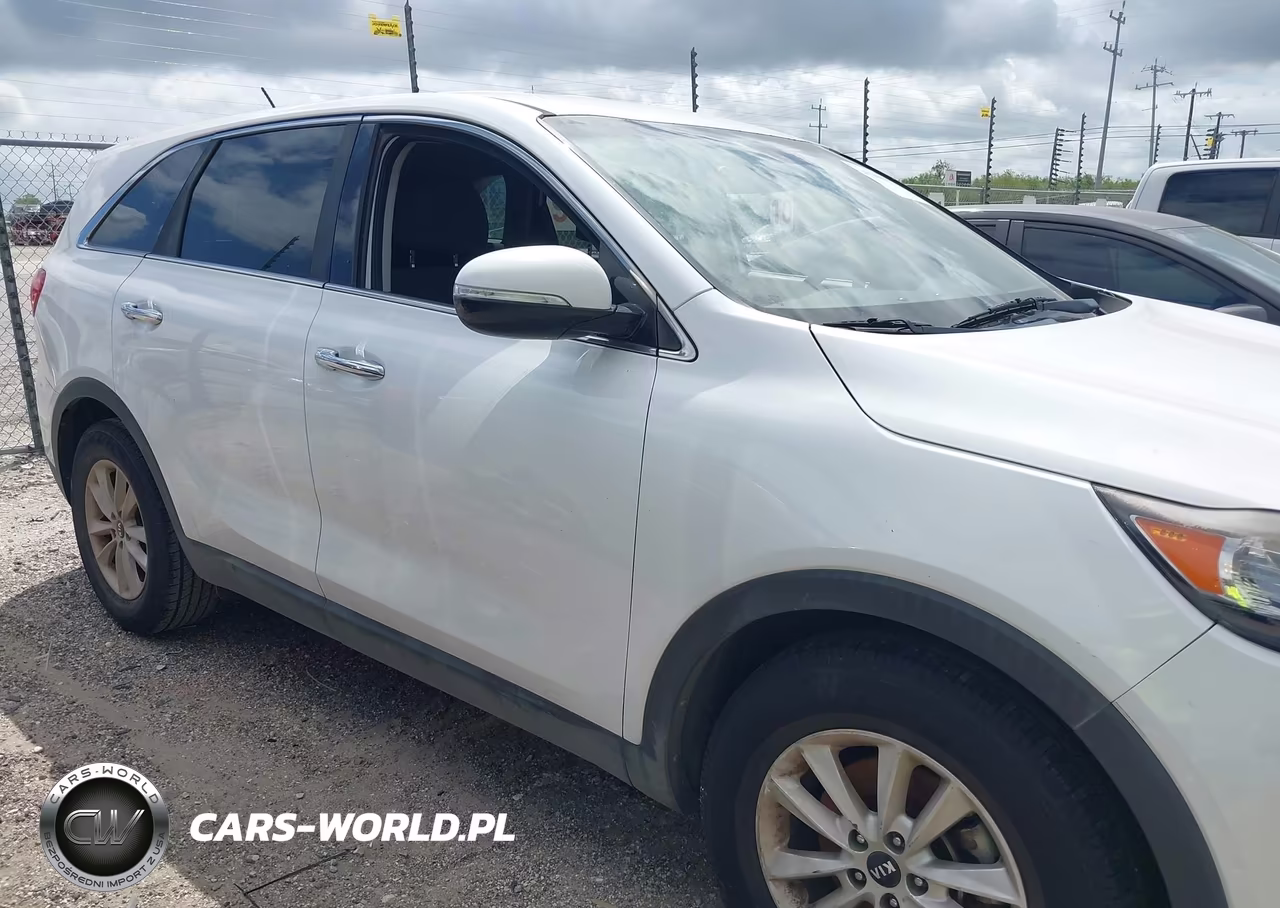 2019 Kia Sorento 3.3L Lx VIN:5XYPG4A51KG443220 - 13