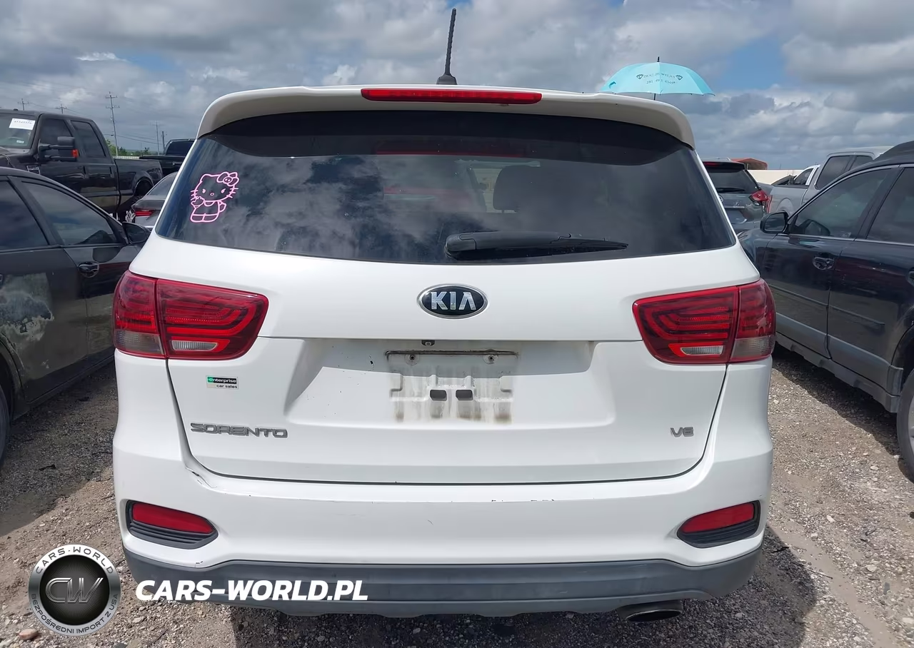 2019 Kia Sorento 3.3L Lx VIN:5XYPG4A51KG443220 - 16