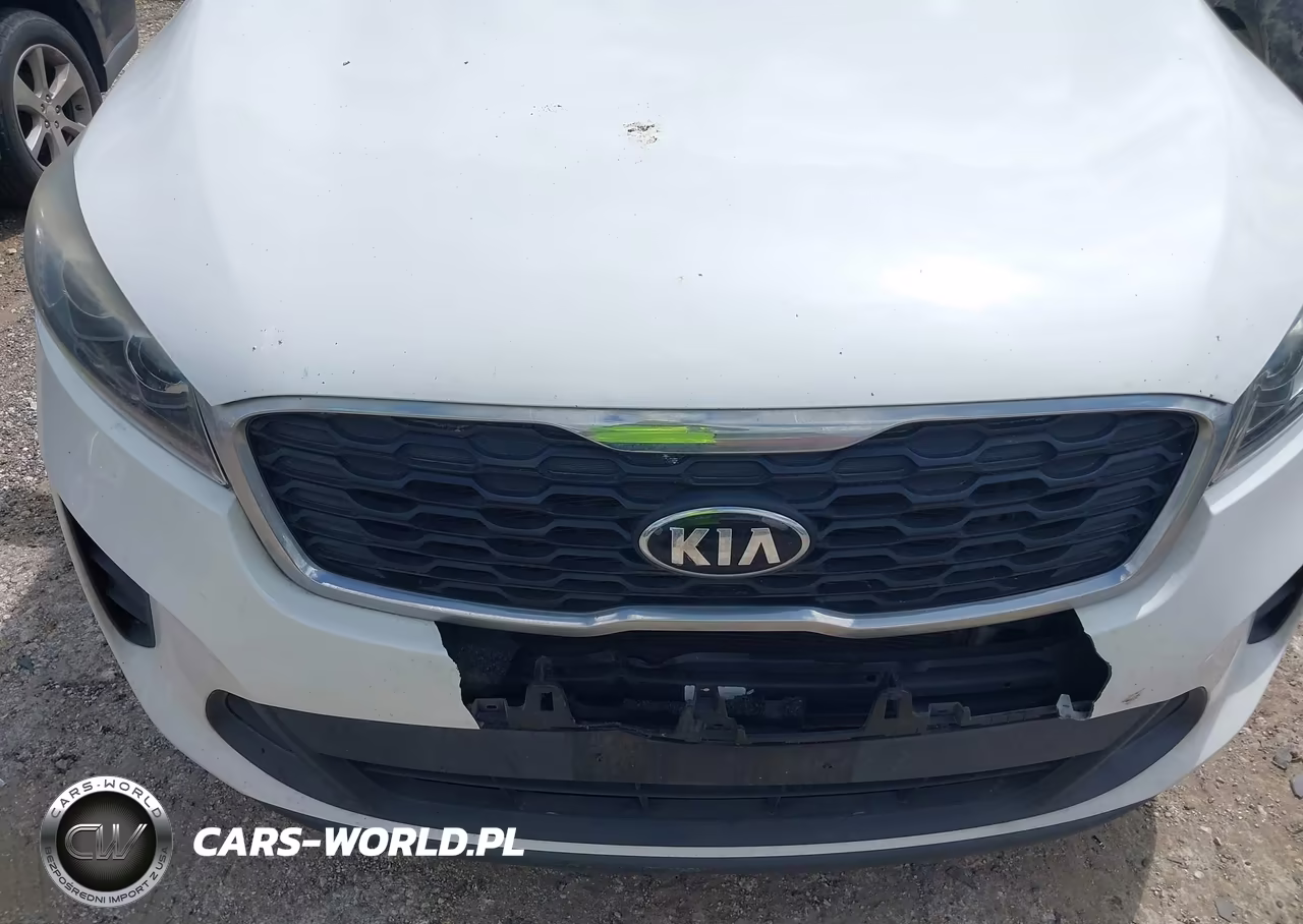 2019 Kia Sorento 3.3L Lx VIN:5XYPG4A51KG443220 - 6