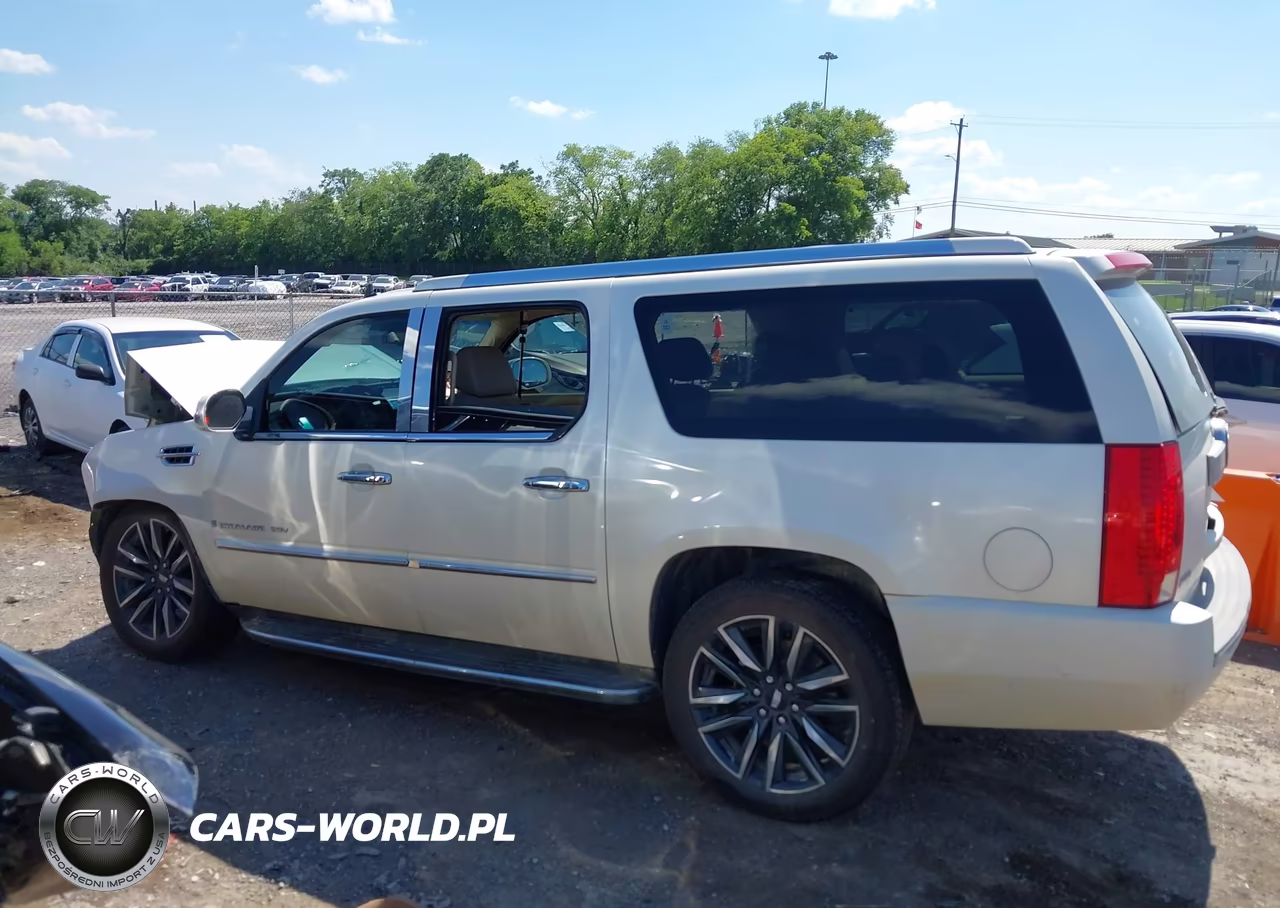 2009 Cadillac Escalade Esv Standard VIN:1GYFC26279R189562 - 15