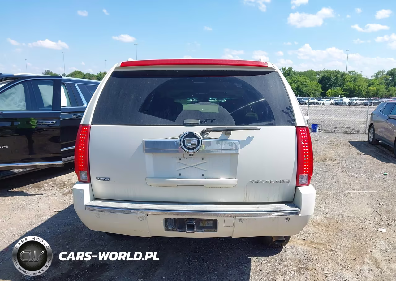2009 Cadillac Escalade Esv Standard VIN:1GYFC26279R189562 - 17