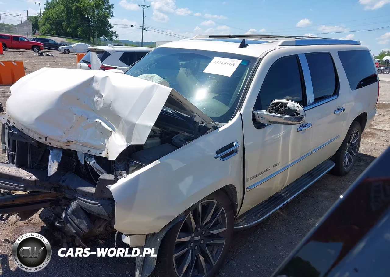 2009 Cadillac Escalade Esv Standard VIN:1GYFC26279R189562 - 2