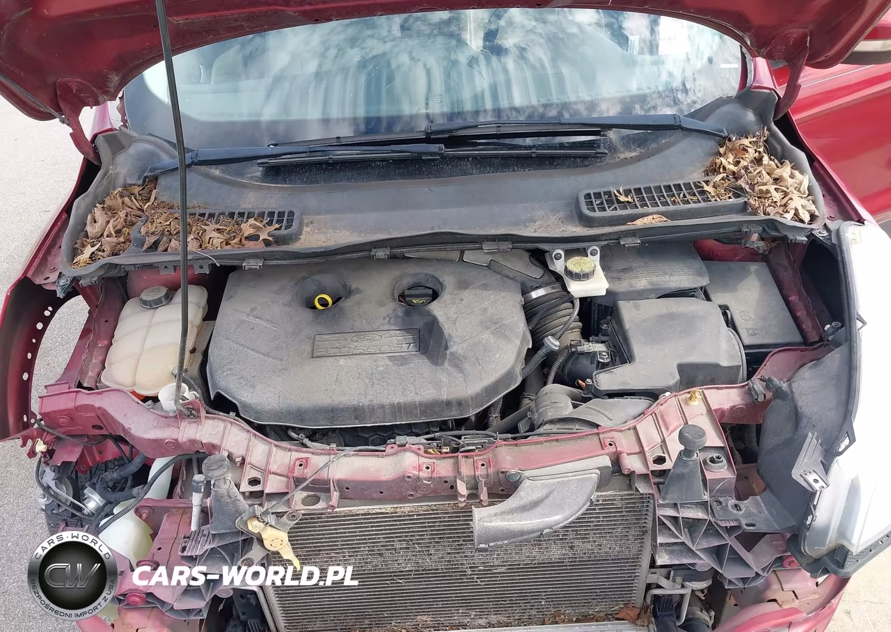2013 Ford Escape Sel VIN:1FMCU9H98DUA07961 - 10