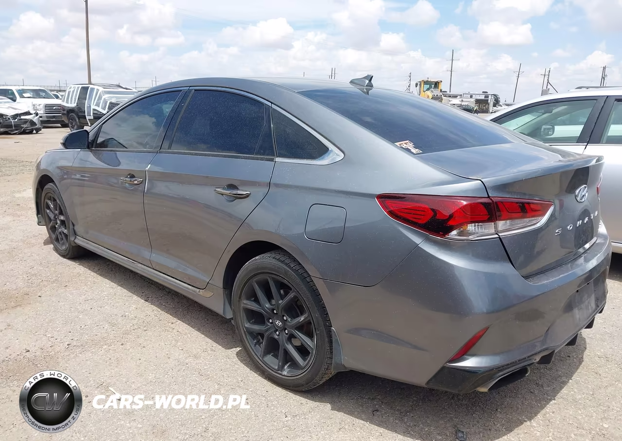 2018 Hyundai Sonata Sport 2.0T VIN:5NPE34ABXJH675721 - 3