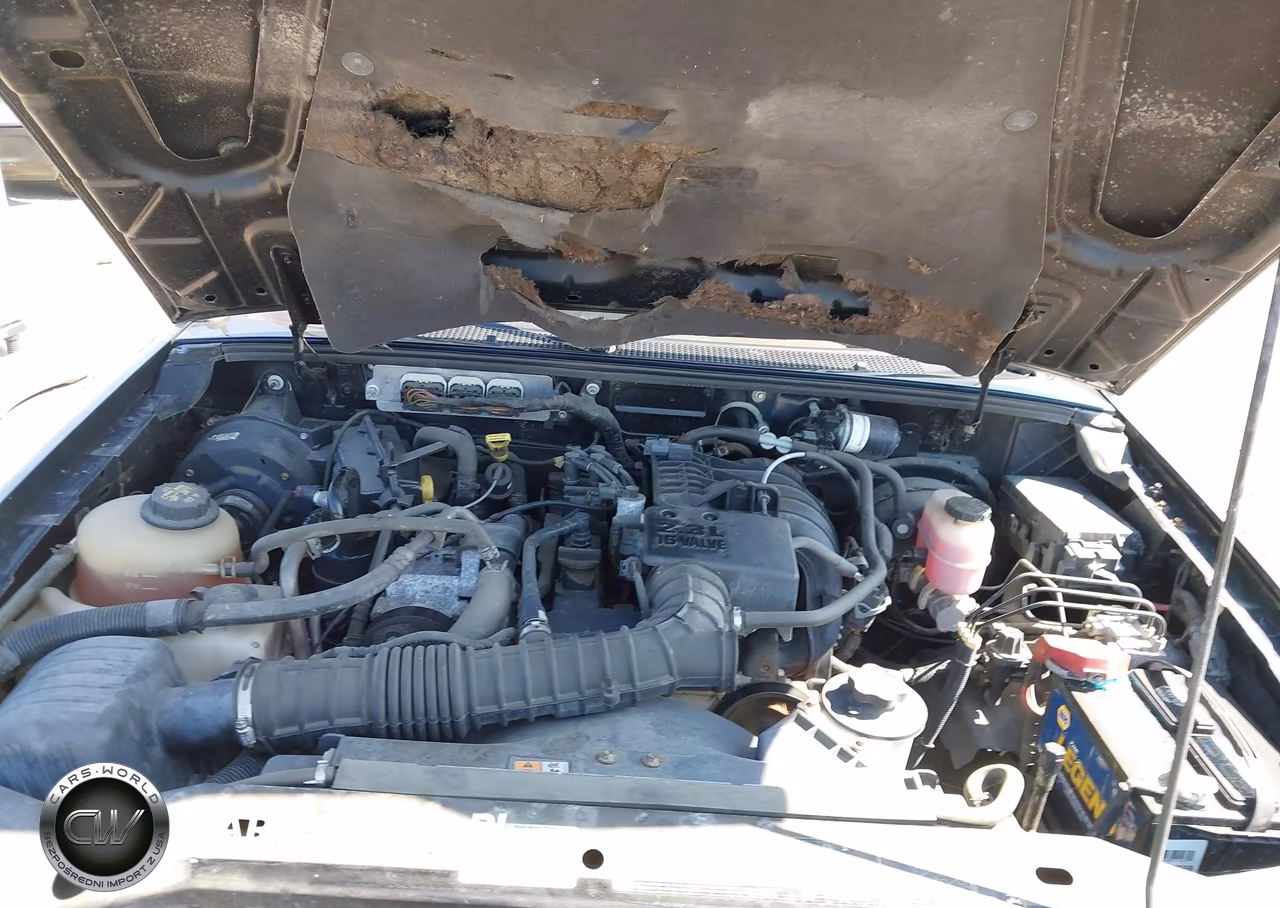 2009 Ford Ranger Xl-Xlt VIN:1FTYR14D59PA68195 - 10